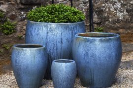 Ceramic planter & Plastic Pots